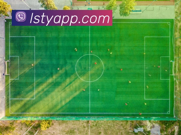 乐思体育APP平台生态图